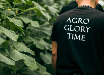 AgroGloryTime - инвестиции в агробизнес Украины по технологии blockchain